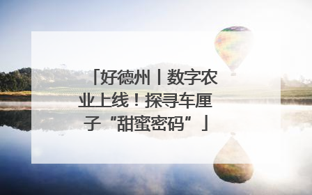 好德州丨数字农业上线！探寻车厘子“甜蜜密码”