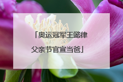 奥运冠军王懿律父亲节官宣当爸
