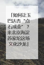 如何让玉巴达杏“点石成金”？来北京海淀苏家坨这场文化沙龙