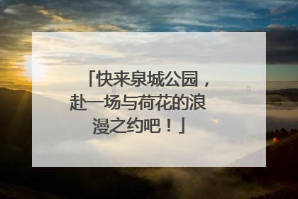 快来泉城公园，赴一场与荷花的浪漫之约吧！