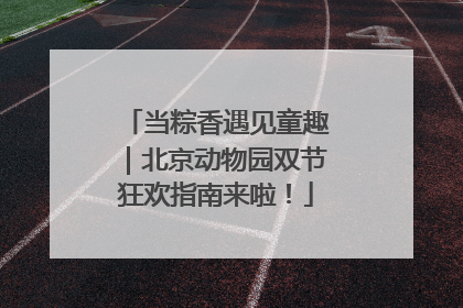 当粽香遇见童趣｜北京动物园双节狂欢指南来啦！