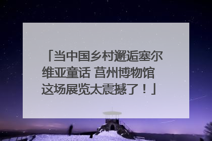 当中国乡村邂逅塞尔维亚童话 莒州博物馆这场展览太震撼了！