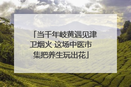 当千年岐黄遇见津卫烟火 这场中医市集把养生玩出花