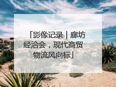 影像记录｜廊坊经洽会，现代商贸物流风向标