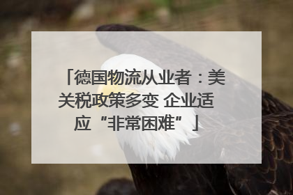 德国物流从业者：美关税政策多变 企业适应“非常困难”