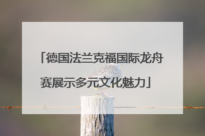 德国法兰克福国际龙舟赛展示多元文化魅力