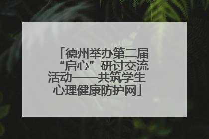 德州举办第二届“启心”研讨交流活动——共筑学生心理健康防护网