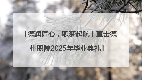 德润匠心，职梦起航丨直击德州职院2025年毕业典礼
