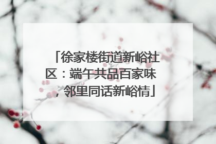 徐家楼街道新峪社区：端午共品百家味，邻里同话新峪情