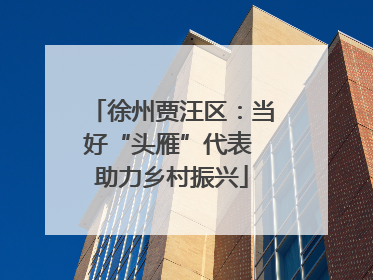 徐州贾汪区：当好“头雁”代表 助力乡村振兴