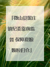 微山县留庄镇纪委靠前监督 保障夏粮颗粒归仓