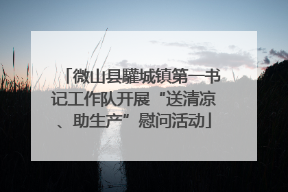 微山县驩城镇第一书记工作队开展“送清凉、助生产”慰问活动