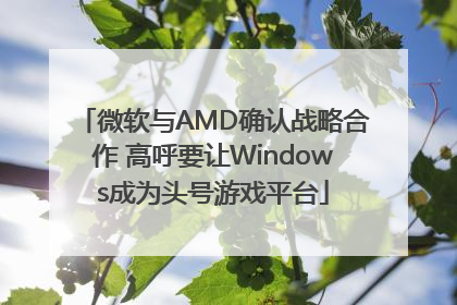 微软与AMD确认战略合作 高呼要让Windows成为头号游戏平台