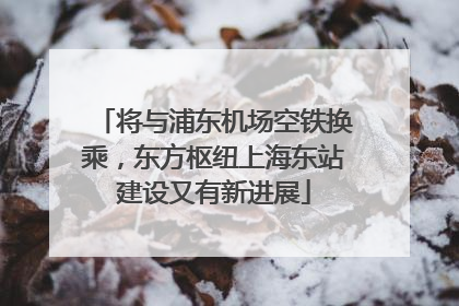 将与浦东机场空铁换乘，东方枢纽上海东站建设又有新进展