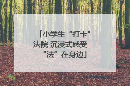 小学生“打卡”法院 沉浸式感受“法”在身边