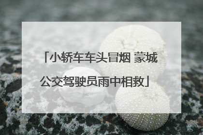 小轿车车头冒烟 蒙城公交驾驶员雨中相救