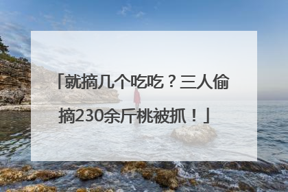 就摘几个吃吃？三人偷摘230余斤桃被抓！