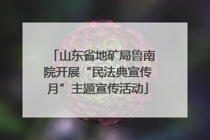 山东省地矿局鲁南院开展“民法典宣传月”主题宣传活动