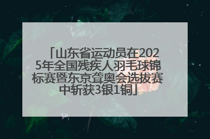 山东省运动员在2025年全国残疾人羽毛球锦标赛暨东京聋奥会选拔赛中斩获3银1铜