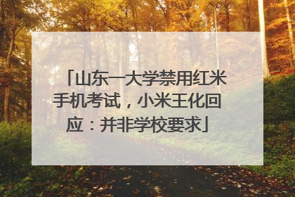 山东一大学禁用红米手机考试，小米王化回应：并非学校要求