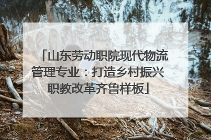 山东劳动职院现代物流管理专业：打造乡村振兴职教改革齐鲁样板