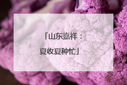 山东嘉祥：夏收夏种忙