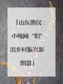 山东惠民：小绳网“织”出乡村振兴新图景