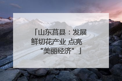 山东莒县：发展鲜切花产业 点亮“美丽经济”