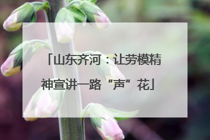 山东齐河：让劳模精神宣讲一路“声”花