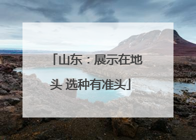 山东：展示在地头 选种有准头
