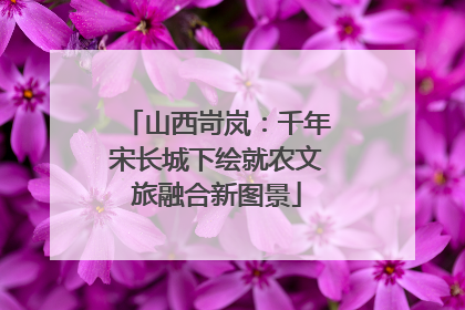 山西岢岚：千年宋长城下绘就农文旅融合新图景