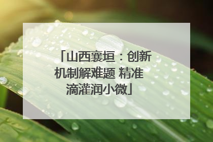 山西襄垣：创新机制解难题 精准滴灌润小微