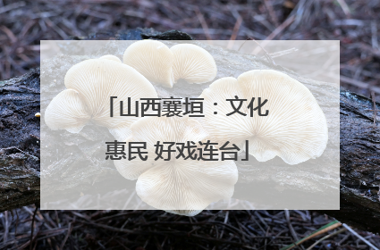 山西襄垣：文化惠民 好戏连台