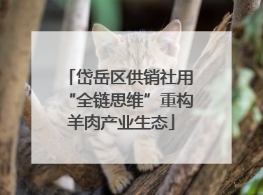 岱岳区供销社用“全链思维”重构羊肉产业生态