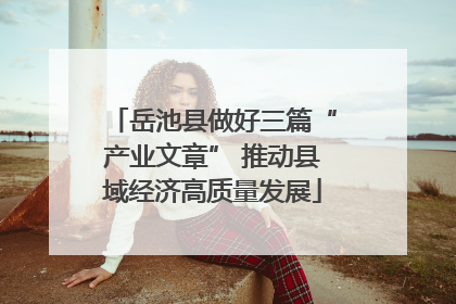 岳池县做好三篇“产业文章” 推动县域经济高质量发展