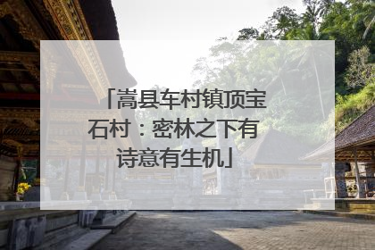 嵩县车村镇顶宝石村：密林之下有诗意有生机