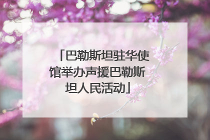 巴勒斯坦驻华使馆举办声援巴勒斯坦人民活动
