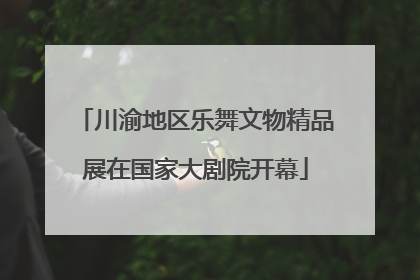 川渝地区乐舞文物精品展在国家大剧院开幕