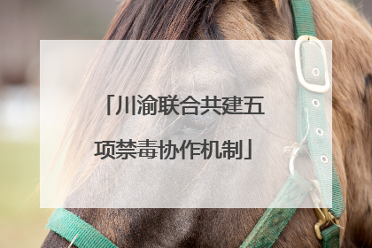 川渝联合共建五项禁毒协作机制