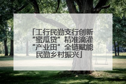 工行民勤支行创新“蜜瓜贷”精准滴灌“产业田”全链赋能民勤乡村振兴