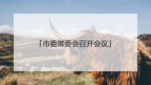 市委常委会召开会议