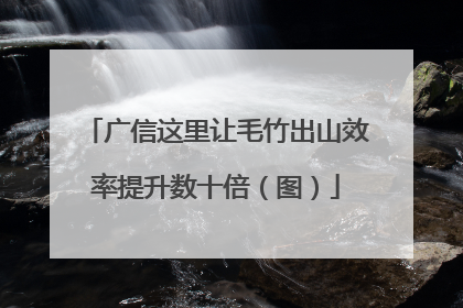 广信这里让毛竹出山效率提升数十倍（图）