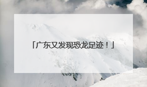 广东又发现恐龙足迹！