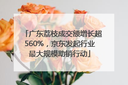 广东荔枝成交额增长超560%，京东发起行业最大规模助销行动