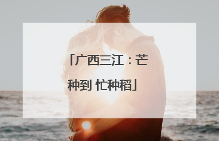 广西三江：芒种到 忙种稻