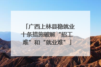 广西上林县稳就业十条措施破解“招工难”和“就业难”