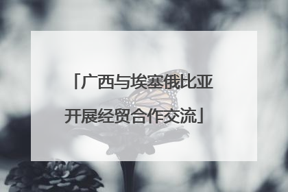 广西与埃塞俄比亚开展经贸合作交流