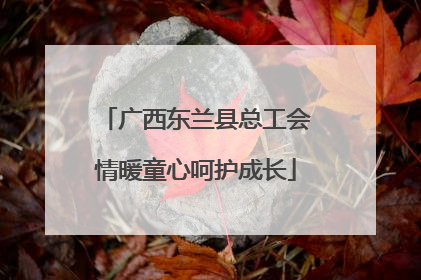 广西东兰县总工会情暖童心呵护成长