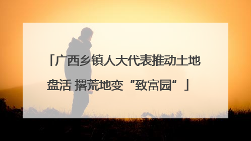 广西乡镇人大代表推动土地盘活 撂荒地变“致富园”