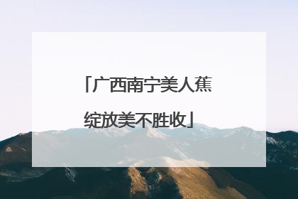 广西南宁美人蕉绽放美不胜收